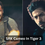 Gadar 2 Effect: Pakistan angle in Tiger 3